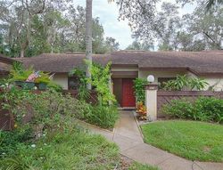 Pre-foreclosure in  ELDER CT Palm Harbor, FL 34684