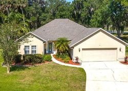 Pre-foreclosure in  DEXTER CT Crescent City, FL 32112