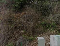 Pre-foreclosure in  OAK KNOLL RD Ojai, CA 93023