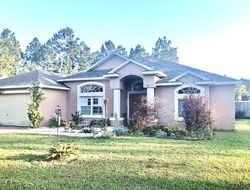 Pre-foreclosure in  BUFFALO BILL DR Palm Coast, FL 32137