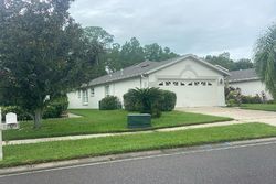 Pre-foreclosure in  SASSAFRAS DR Wesley Chapel, FL 33543