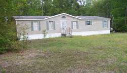 Pre-foreclosure Listing in BONITA DR PALATKA, FL 32177