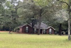 Pre-foreclosure in  DIANA ESTATES DR S Wilmer, AL 36587