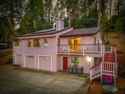 Pre-foreclosure in  CASCADE TRL Cool, CA 95614