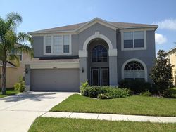 Pre-foreclosure in  LATOURETTE DR Wesley Chapel, FL 33545