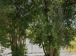  E Chapin St, Beaumont TX