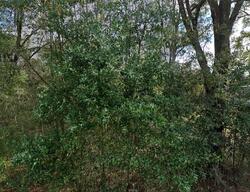 Pre-foreclosure in  AUDREY DR Crestview, FL 32539