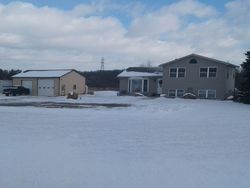 Pre-foreclosure in  ONSTED HWY Onsted, MI 49265