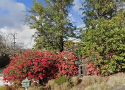 Pre-foreclosure in  STONE CANYON RD Poway, CA 92064