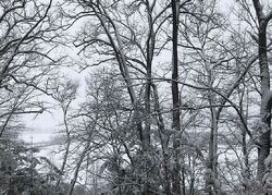 Pre-foreclosure in  PASSER RD Blossvale, NY 13308