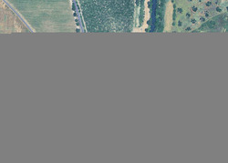 Pre-foreclosure in  THORNTON RD Galt, CA 95632