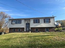 Pre-foreclosure in  RIDGEVIEW AVE Monongahela, PA 15063