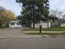 Pre-foreclosure Listing in E KAREN CT STEVENSVILLE, MI 49127