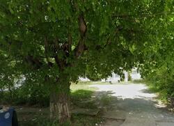 Pre-foreclosure in  FREE PIKE Dayton, OH 45416