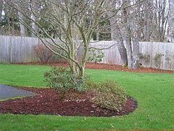 Pre-foreclosure in  105TH AVE SE Yelm, WA 98597