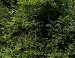  Huntington Rd, Carmel NY