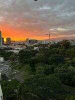 Pre-foreclosure in  NUUANU AVE  Honolulu, HI 96817
