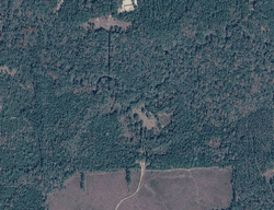 Pre-foreclosure in  HUMMINGBIRD LN Ponce De Leon, FL 32455