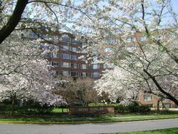 Pre-foreclosure in  TUNLAW RD NW  Washington, DC 20007