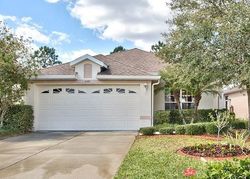Pre-foreclosure in  BANYAN HILL LN Land O Lakes, FL 34639