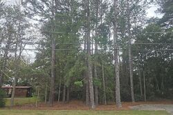 Pre-foreclosure Listing in OLD PELHAM RD PELHAM, GA 31779
