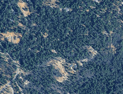 Pre-foreclosure in  OSDICK CT Nevada City, CA 95959