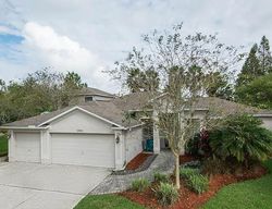 Pre-foreclosure in  ASHDOWN DR Odessa, FL 33556