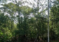  Reindeer Rd, Christmas FL