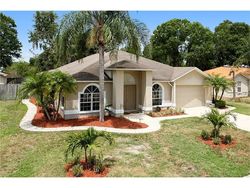 Pre-foreclosure in  DIAMOND TER Mulberry, FL 33860