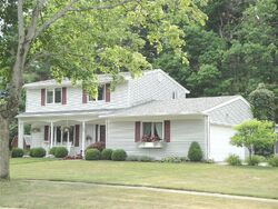 Pre-foreclosure in  COLLINGWOOD CT Davison, MI 48423