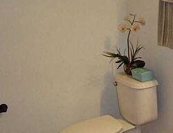 Pre-foreclosure in  STONE ACRES CIR Saint Cloud, FL 34771