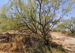 Pre-foreclosure in  POPLAR ST Sweetwater, TX 79556