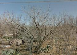 Pre-foreclosure in  S HASKELL ST Stamford, TX 79553