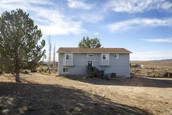 Pre-foreclosure in  DEERBRUSH DR Spring Creek, NV 89815