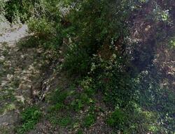  Wanda Park Dr, Beverly Hills CA