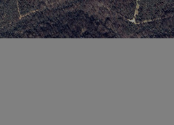 Pre-foreclosure in  CARDINAL DR Front Royal, VA 22630