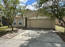 Pre-foreclosure in  GRAND CANYON DR Valrico, FL 33594