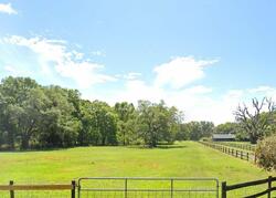 Pre-foreclosure in  PALAMINO LAKE DR Dade City, FL 33523