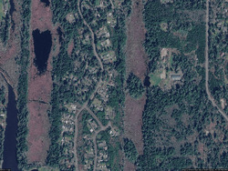  Birch Pl, Ocean Park WA