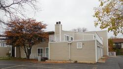 Pre-foreclosure in  N BALDWIN WAY UNIT 3A Palatine, IL 60074