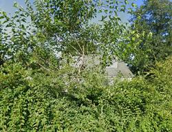 Pre-foreclosure in  SALEM RD Carmel, NY 10512