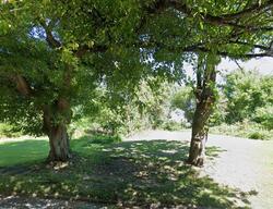 Pre-foreclosure in  STATE ST Youngstown, OH 44506