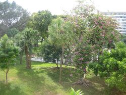 Pre-foreclosure in  HILLCREST DR  Hollywood, FL 33021