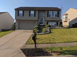  Hornbean Dr, Independence KY
