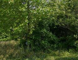 Pre-foreclosure in  KEYSTONE RD Vinton, OH 45686