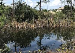 Pre-foreclosure in  NE 23RD PL Cape Coral, FL 33909
