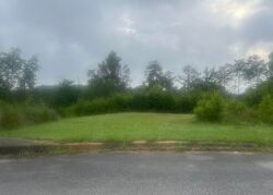 Pre-foreclosure in  LONG BRANCH PKWY Calera, AL 35040