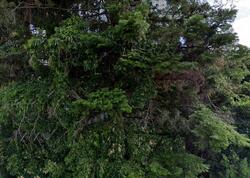  Dilley Rd, Tieton WA