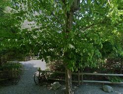 Pre-foreclosure in  JOHNSON ST Waretown, NJ 08758