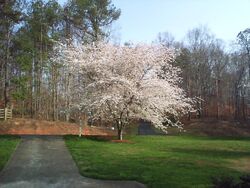 Pre-foreclosure in  OLD MILL RD Ball Ground, GA 30107